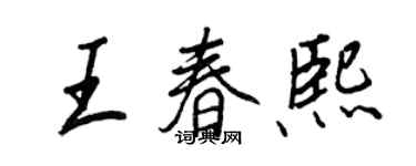 王正良王春熙行書個性簽名怎么寫