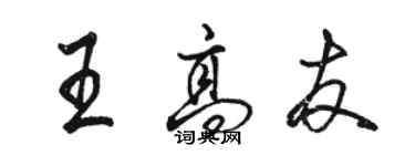 駱恆光王高友行書個性簽名怎么寫