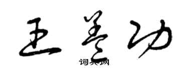 曾慶福王蓋功草書個性簽名怎么寫