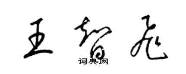 梁錦英王智飛草書個性簽名怎么寫