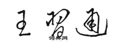 駱恆光王習通草書個性簽名怎么寫