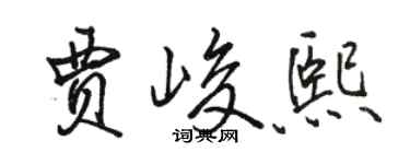 駱恆光賈峻熙行書個性簽名怎么寫