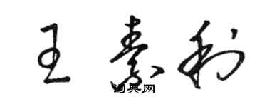 駱恆光王素利草書個性簽名怎么寫