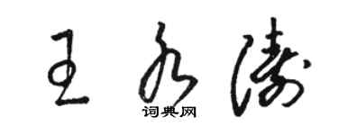 駱恆光王水濤草書個性簽名怎么寫