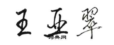 駱恆光王亞翠行書個性簽名怎么寫