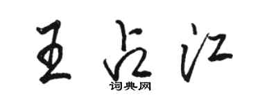 駱恆光王占江行書個性簽名怎么寫