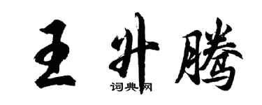 胡問遂王升騰行書個性簽名怎么寫