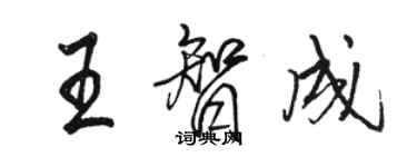 駱恆光王智成行書個性簽名怎么寫