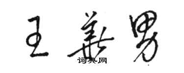 駱恆光王華男草書個性簽名怎么寫