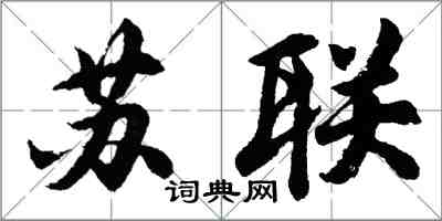 胡問遂蘇聯行書怎么寫