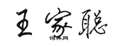 駱恆光王家聰行書個性簽名怎么寫