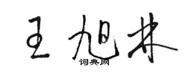 駱恆光王旭林草書個性簽名怎么寫