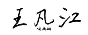 王正良王凡江行書個性簽名怎么寫