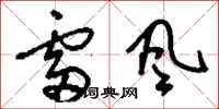 劉少英雷風草書怎么寫