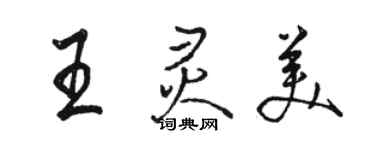 駱恆光王靈美行書個性簽名怎么寫