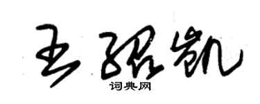 朱錫榮王紹凱草書個性簽名怎么寫