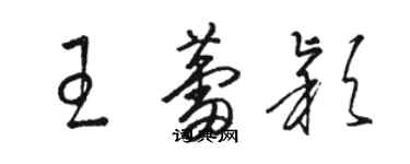 駱恆光王蕾穎草書個性簽名怎么寫