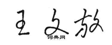 駱恆光王文放草書個性簽名怎么寫