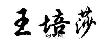 胡問遂王培莎行書個性簽名怎么寫