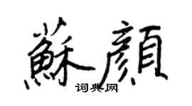 王正良蘇顏行書個性簽名怎么寫