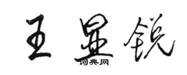 駱恆光王顯銳行書個性簽名怎么寫