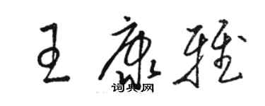 駱恆光王康雅草書個性簽名怎么寫