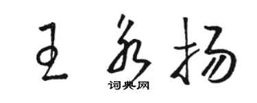駱恆光王永揚草書個性簽名怎么寫