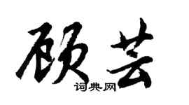 胡問遂顧芸行書個性簽名怎么寫