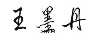 駱恆光王墨丹行書個性簽名怎么寫