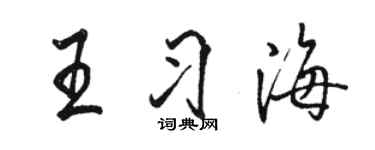 駱恆光王習海行書個性簽名怎么寫