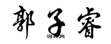 胡問遂郭子睿行書個性簽名怎么寫