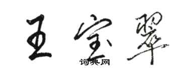 駱恆光王寶翠行書個性簽名怎么寫