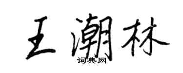 王正良王潮林行書個性簽名怎么寫