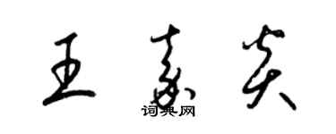 梁錦英王嘉炎草書個性簽名怎么寫