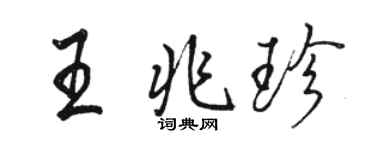 駱恆光王兆珍行書個性簽名怎么寫