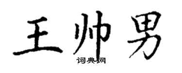 丁謙王帥男楷書個性簽名怎么寫