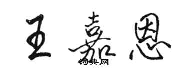 駱恆光王嘉恩行書個性簽名怎么寫