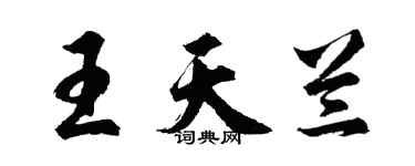 胡問遂王天蘭行書個性簽名怎么寫