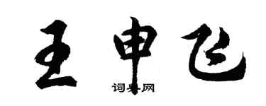 胡問遂王申飛行書個性簽名怎么寫