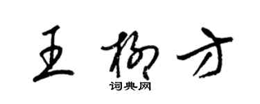 梁錦英王柳方草書個性簽名怎么寫