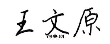 王正良王文原行書個性簽名怎么寫