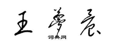 梁錦英王夢晨草書個性簽名怎么寫