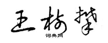 曾慶福王樹攀草書個性簽名怎么寫