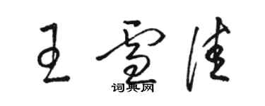 駱恆光王雪佳草書個性簽名怎么寫