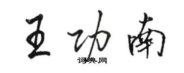 駱恆光王功南行書個性簽名怎么寫