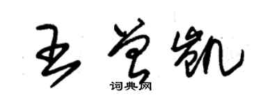 朱錫榮王曾凱草書個性簽名怎么寫