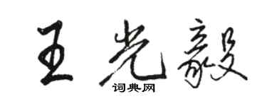 駱恆光王光毅行書個性簽名怎么寫