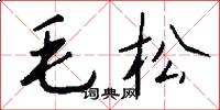 毛松怎么寫好看