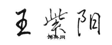 駱恆光王紫陽行書個性簽名怎么寫