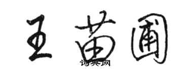 駱恆光王苗圃行書個性簽名怎么寫